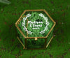 Customizable Hexagon Transparent Jewelry Box